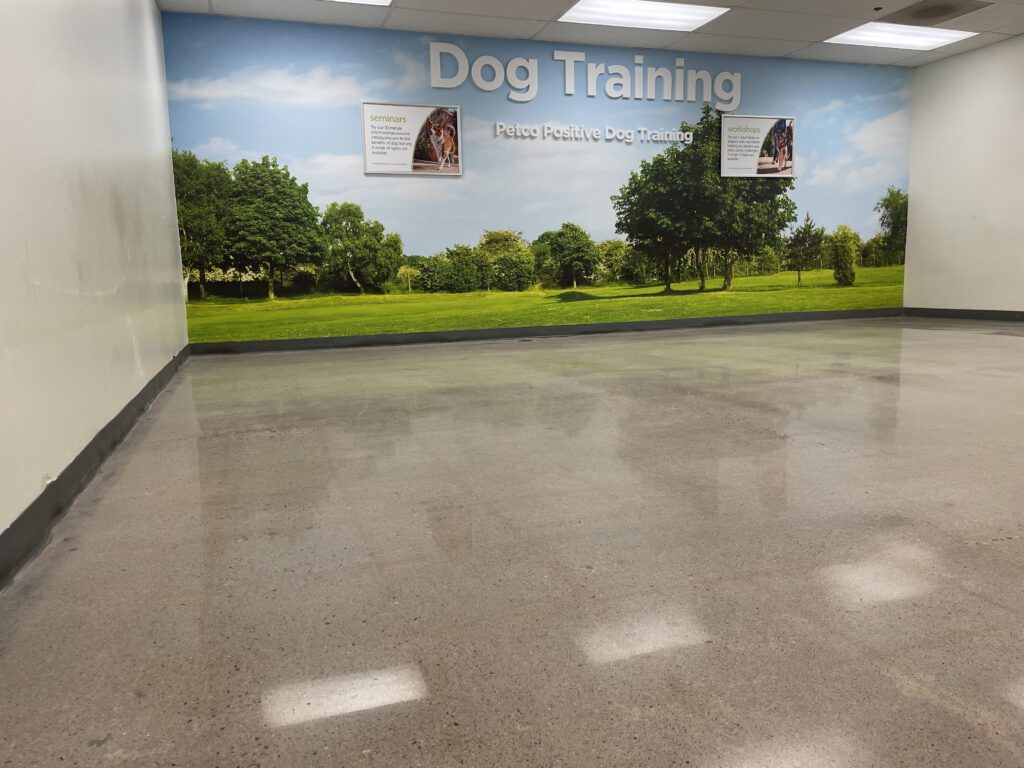 concrete polishing services fort collins